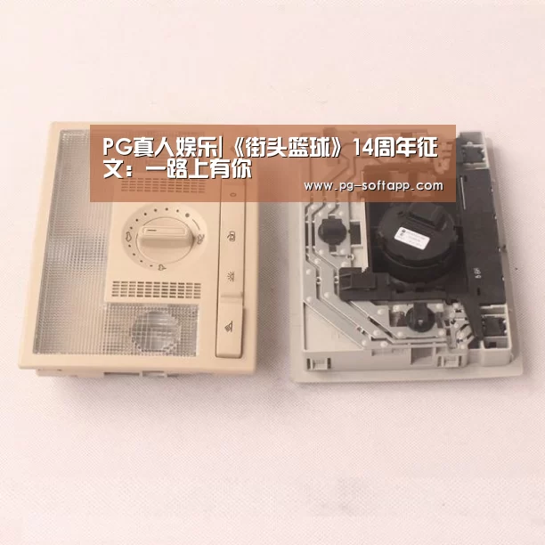 PG电子官方网站